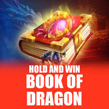 Book of Dragon